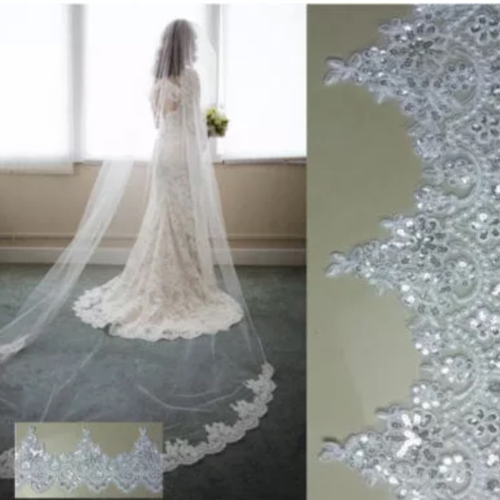 Beautiful veil NWT